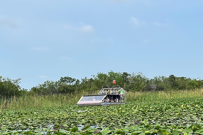 Everglades Tour From Miami With Transportation - Accessibility and Special Needs