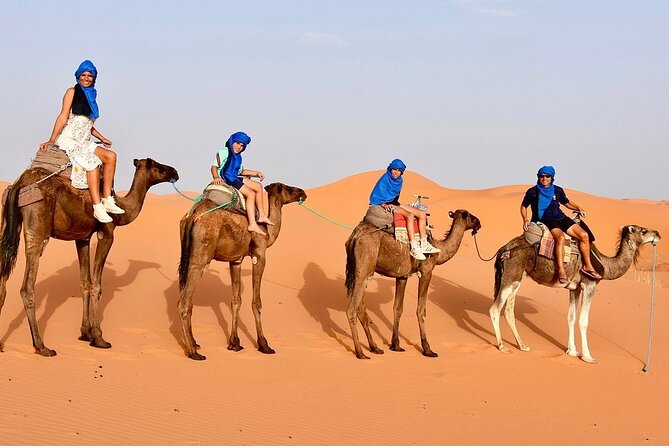 Excursion From Ouarzazate to Draa Valley, Zagora and Dunes of Tinfou - Camel Ride to Dunes