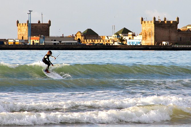 Excursion : Full Day Trip to Essaouira Mogador From Marrakech - Transportation and Guidance