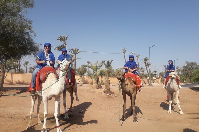 Experience Camel Ride Sunset or Anytime - Flexibility and Cancellation Policy