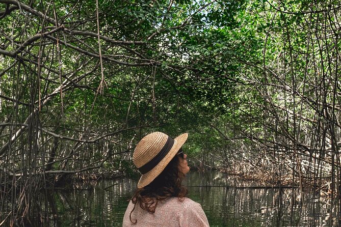 Experience on a Boat off the Beaten Path of the Most Beautiful Lagoon in Guadeloupe - Tour Departure and Meeting Point