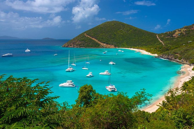 Experience the British Virgin Islands Through and Unforgettable Tour - Exceptional Reviews and Private Tour Experience