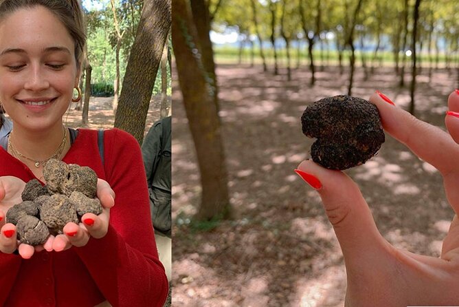 Experience Tuscan Truffle Hunting With Wine and Lunch - Cancellation Policy