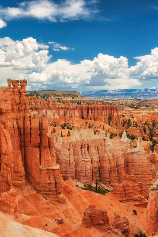 Explore Bryce Canyon: Private Full-Day Tour From Salt Lake - Capturing Bryces Beauty