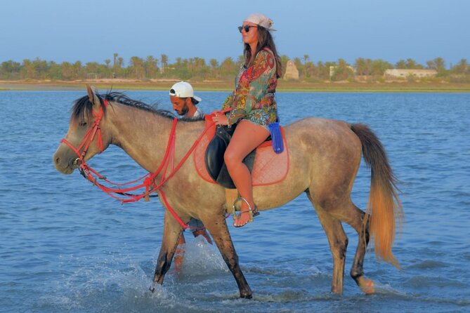 Explore Djerba With Our Four-Legged Friends - Getting There