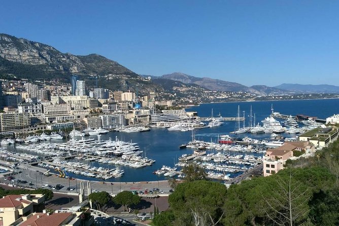 Eze, Monaco & Monte-Carlo Half Day Private Tour - Princes Palace and Monte Carlo