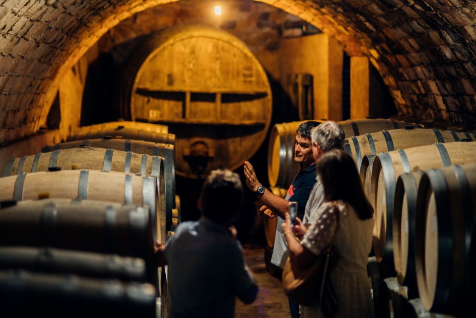 Falset: Guided Wine Tour to the Priorat by a Local - Pricing and Booking