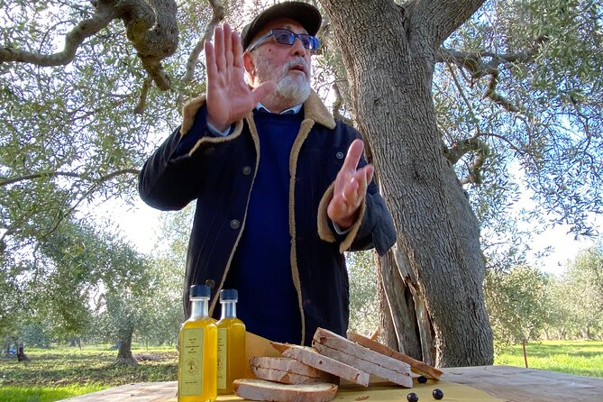 Food and Wine Tour Between the Patriarchs Olives and the Oil Temples - Tour Overview