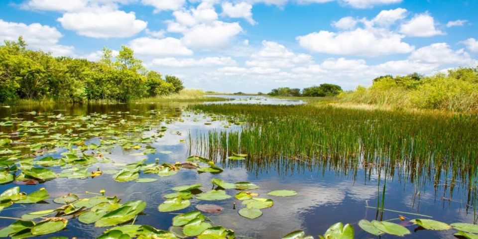 Fort Lauderdale: Everglades Express Tour With Airboat Ride - Frequently Asked Questions