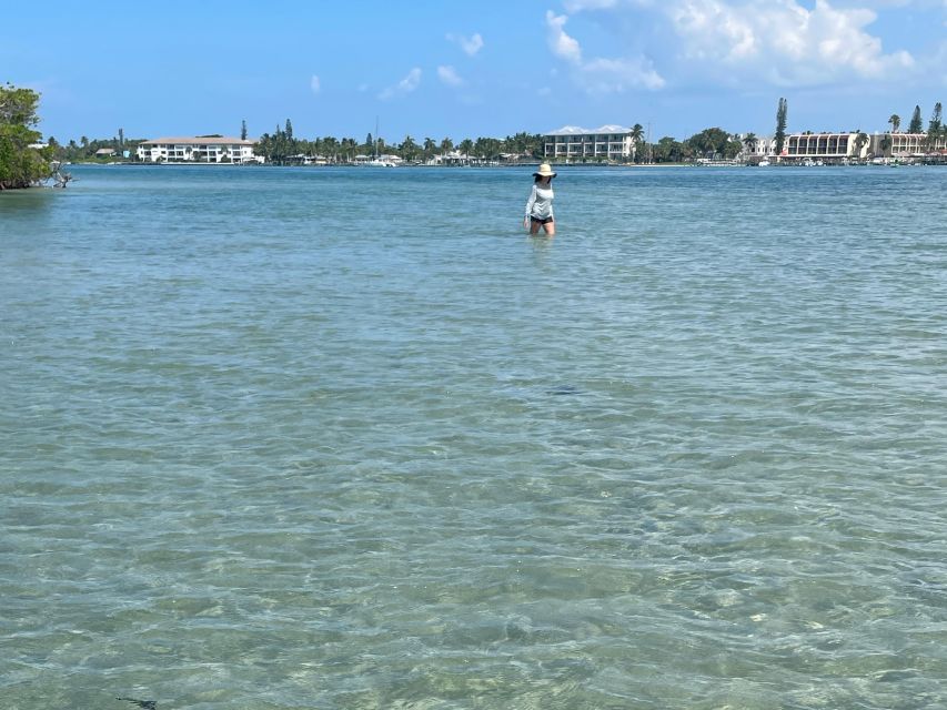 Fort Pierce: 4-hr Mangroves & Dolphin Watch Sandbar in FL - Preparation Recommendations