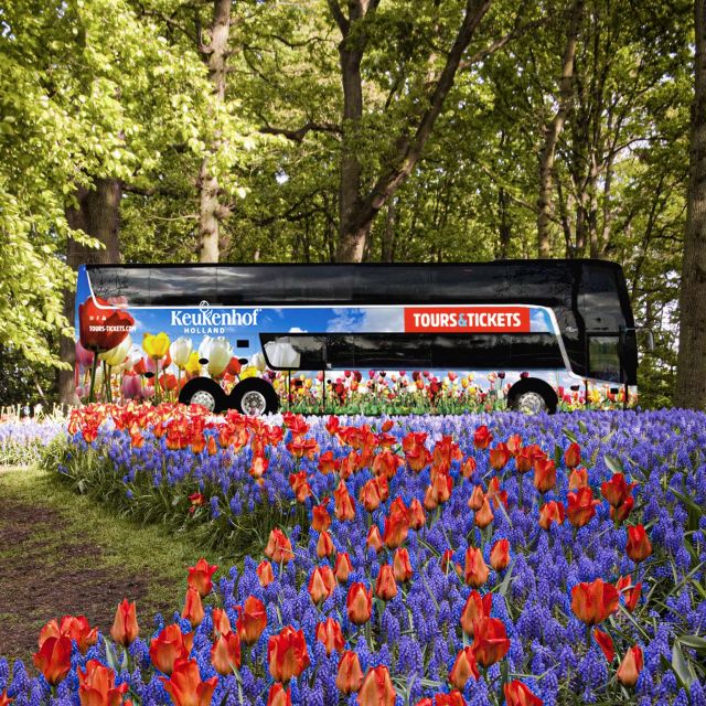 From Amsterdam: Keukenhof Flower Park Transfer & Ticket 2025 - Customer Feedback