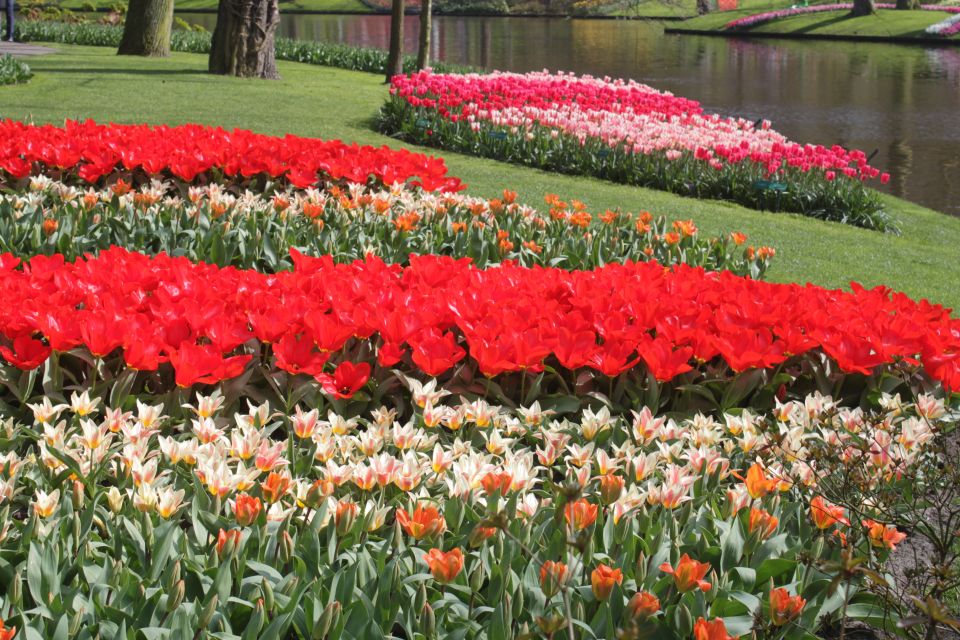 From Amsterdam: Tulip Tour Keukenhof & City Tour Delft - Important Information