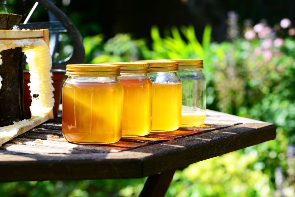 From Athens: Private Day Trip to Ancient Olympia - Honey Farm Experience