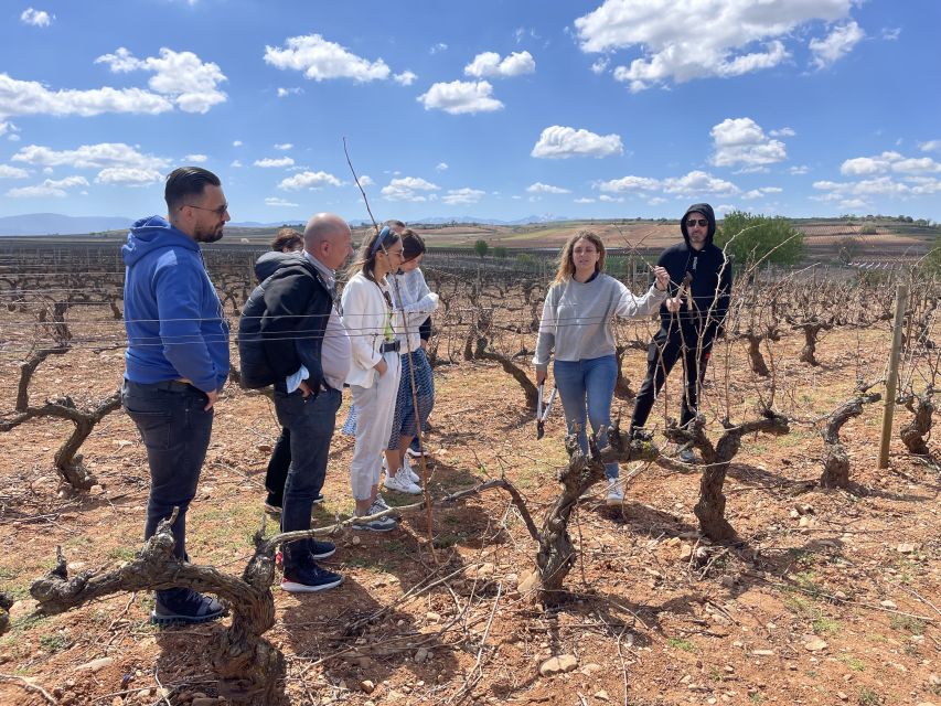 From Bilbao: Two Rioja Wineries Day Trip With Picnic Lunch - Important Details to Note