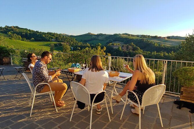 From Bologna: Wine Tasting and Vineyard Tour With the Winemaker - Scenic Terrace and Wine Pairing