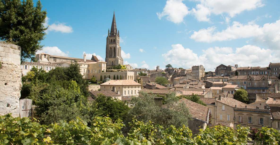 From Bordeaux: Private Wine Tour to Saint-Émilion - Recommendations for Comfort