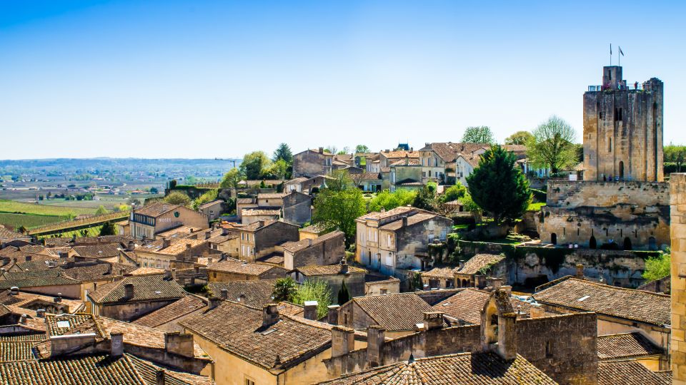 From Bordeaux: St. Emilion Village Half-Day Wine Tour - Group Size and Cancellation