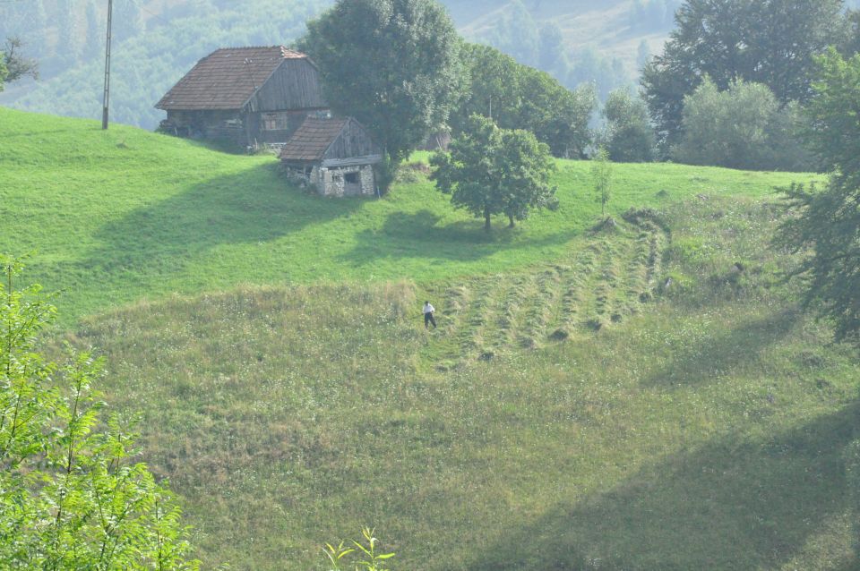 From Brasov: Romanian Mountain Villages Day Tour - Hiking and Natural Landscapes