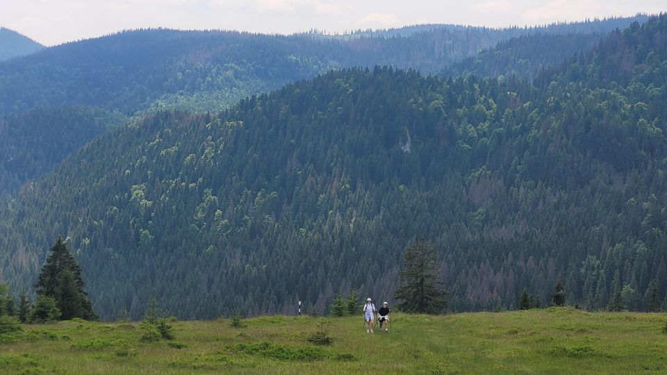 From Cluj-Napoca: Day Hike to Vlădeasa Peak - Getting to Rogojel Village