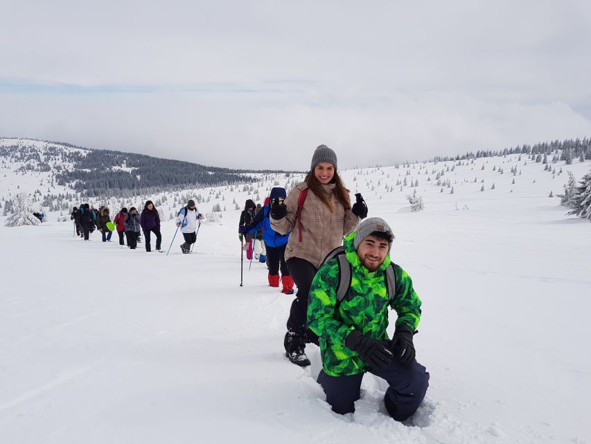 From Cluj: Winter Walking Trip on the Great Mountain - Exploring the Carpathians