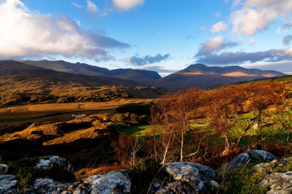 From Cork: 9-Hour Guided Ring of Kerry and Killarney Tour - Cancellation and Payment Options