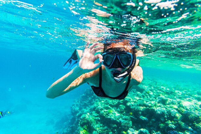 From Dubai: Snorkeling Trip in Fujairah - Family-Friendly Snorkeling Experience