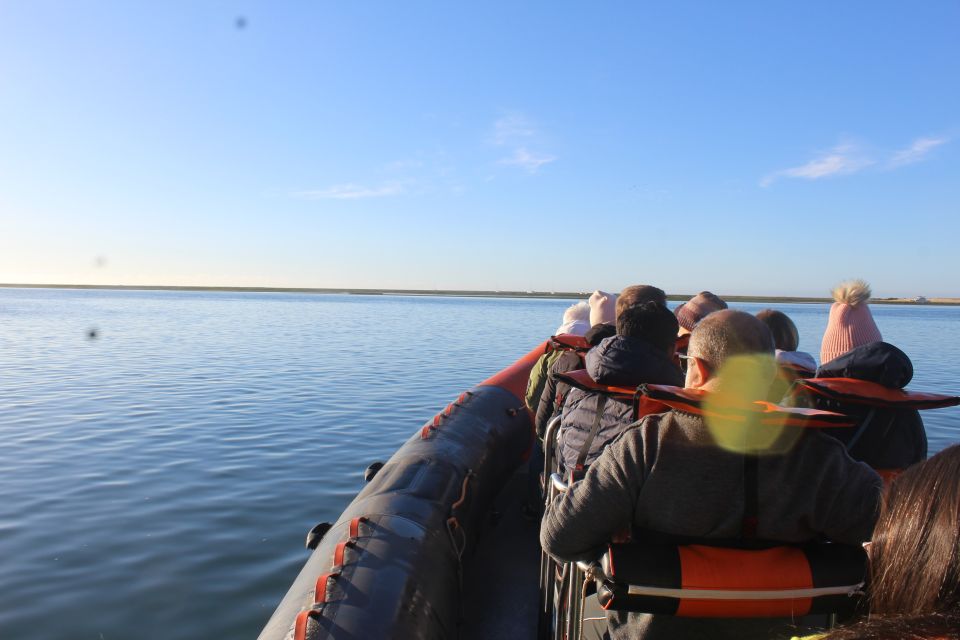 From Faro: Dolphin Watching & 2 Islands Tour - Scenic Views and Wildlife