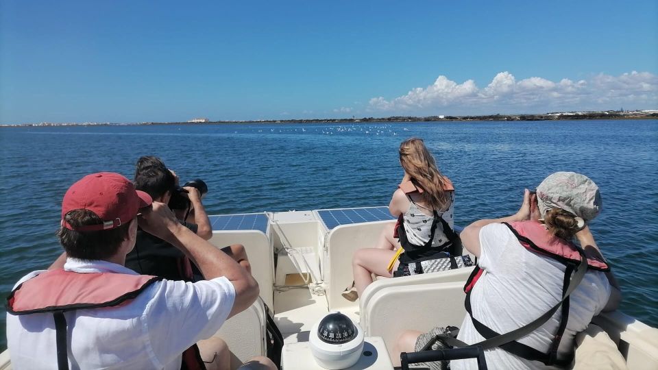 From Faro: Ria Formosa Eco-friendly Solar Boat Tour - Exploring Ria Formosa Lagoons