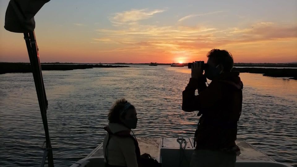 From Faro: Ria Formosa Sunset Boat Trip - Customer Ratings and Reviews