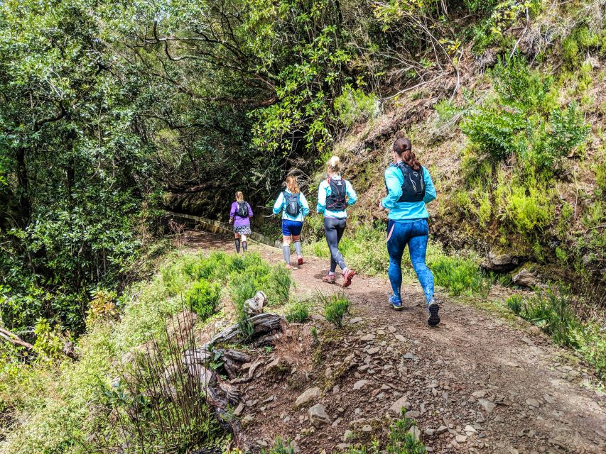 From Funchal: Easy to Moderate Green Levada Running Tour - Getting There