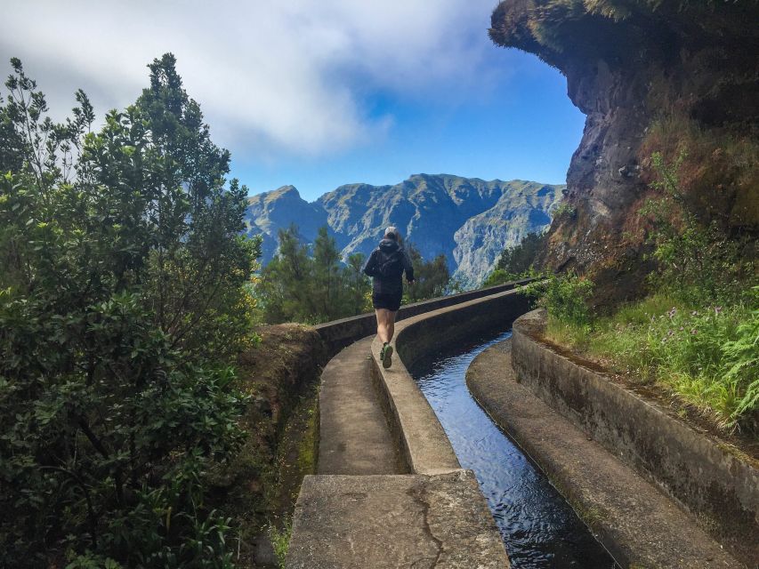 From Funchal: Folhadal Trail Running Tour (Moderate) - Getting to Laurissilva Forest