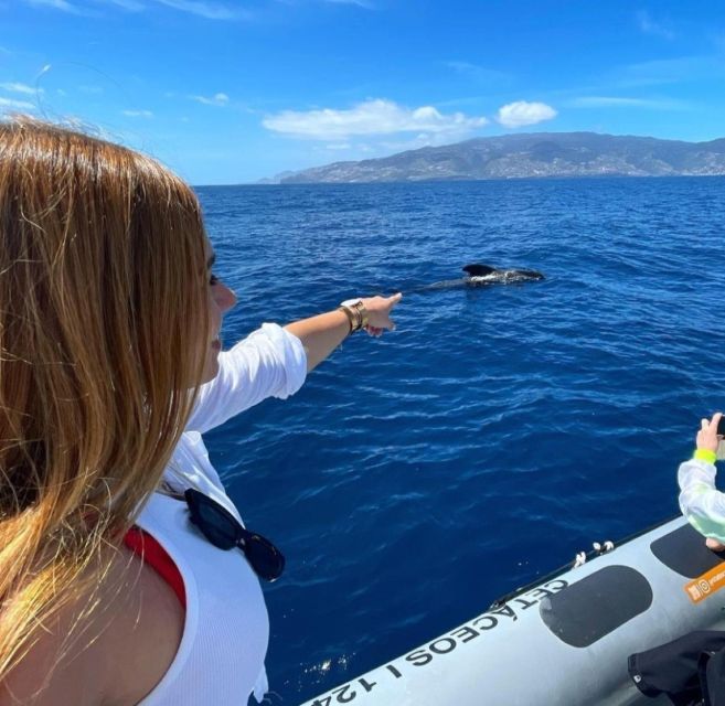 From Funchal: Whale and Dolphin Watching - What to Bring