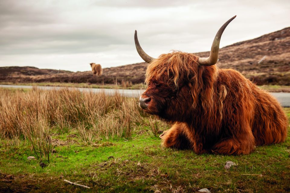 From Inverness: 3-Day Orkney Explorer - Frequently Asked Questions