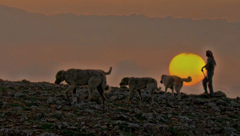 From Istanbul: Private Cappadocia 2-Day Tour - Delve Into Kaymakli Underground City