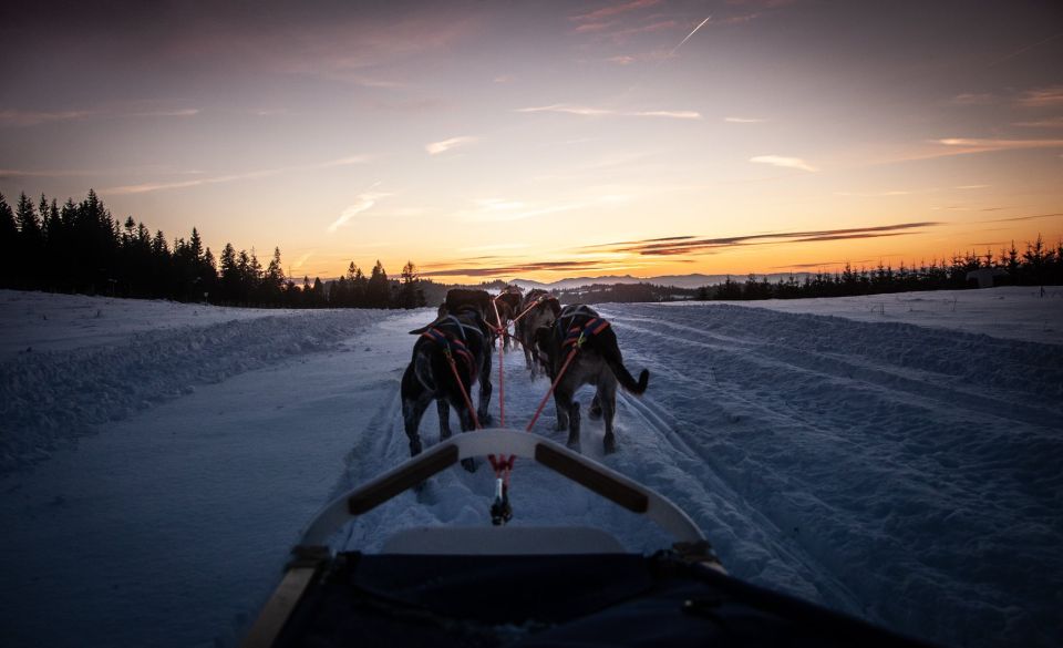 From Krakow: Dogsled Ride in Tatra Mountain - Weather Policy and What to Bring