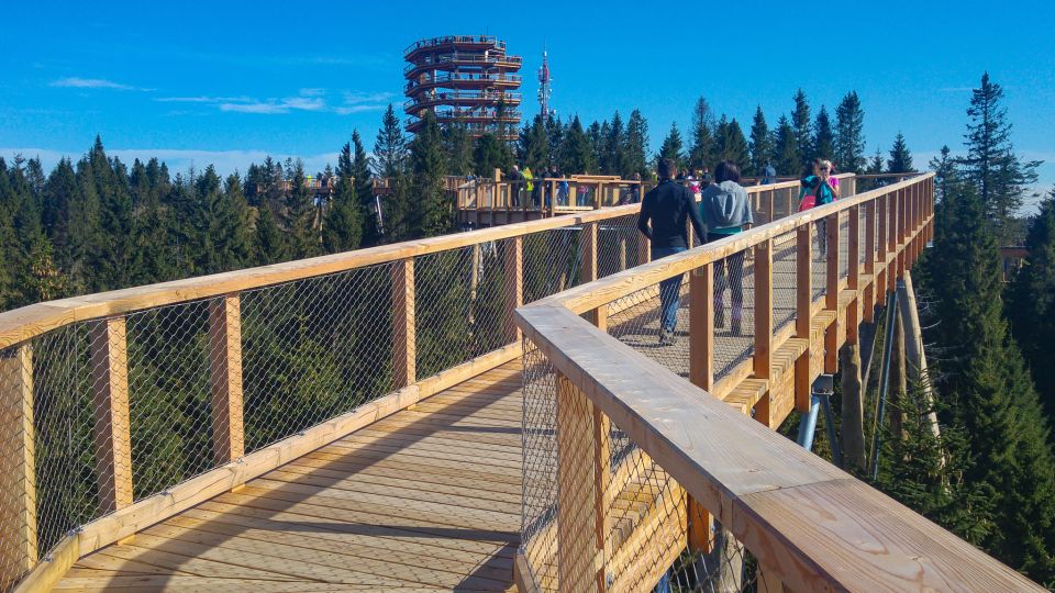 From Krakow: Slovakia Treetop Walk, Zakopane & Thermal Spa - Highlights and Experience