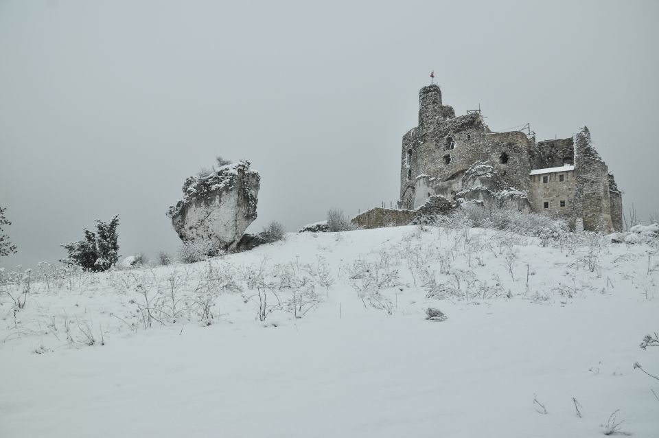 From Krakow: Trail of the Eagles' Nests Day Tour - Preparation and Recommendations