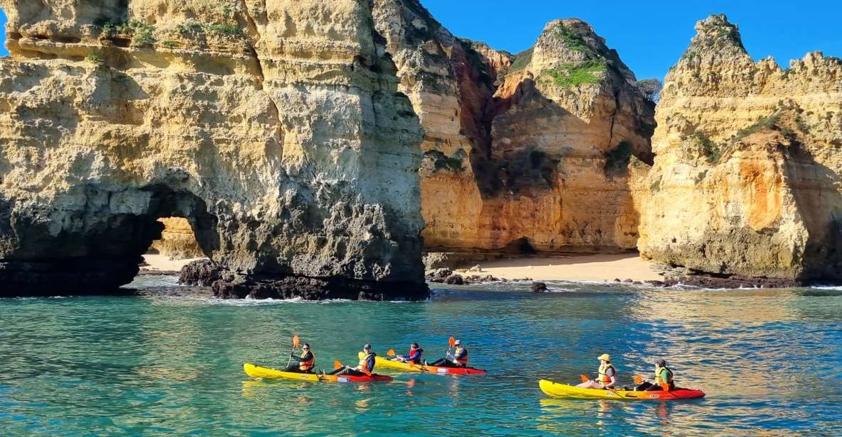 From Lagos: Kayak Experience in Ponta Da Piedade - Catamaran Ride and Beach Time