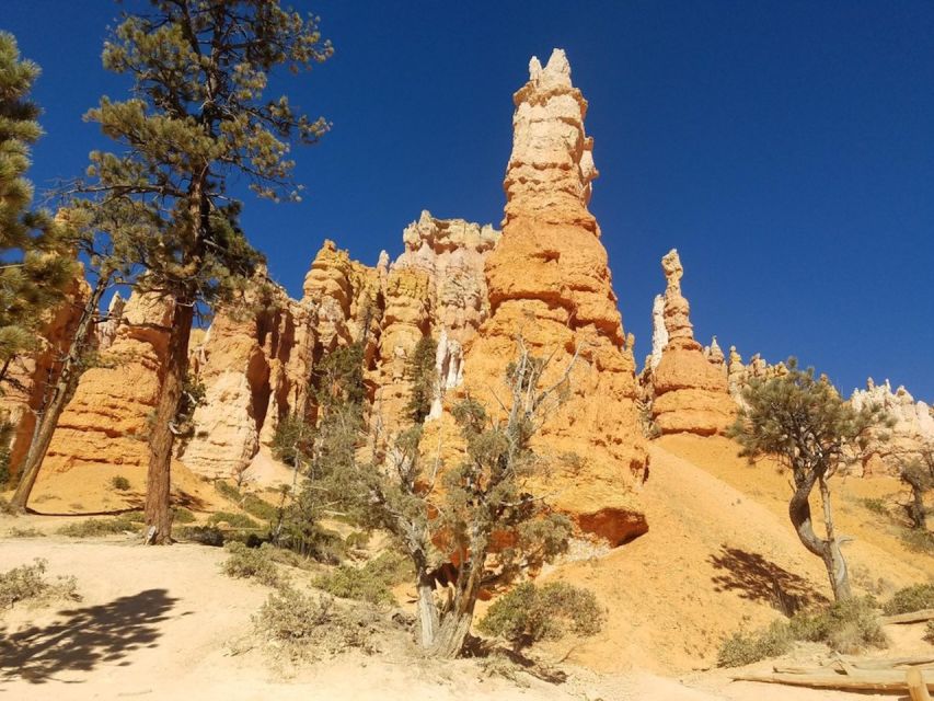 From Las Vegas: Zion and Bryce Canyon Guided Day Tour - Important Information