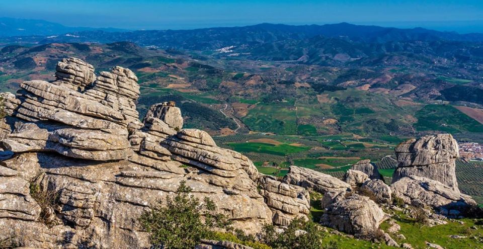 From Marbella: Antequera Wine Tour With Tastings and Lunch - Frequently Asked Questions