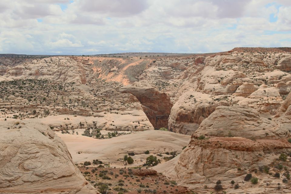 From Moab: 1-Day Horseshoe Canyon Exploration - Important Information