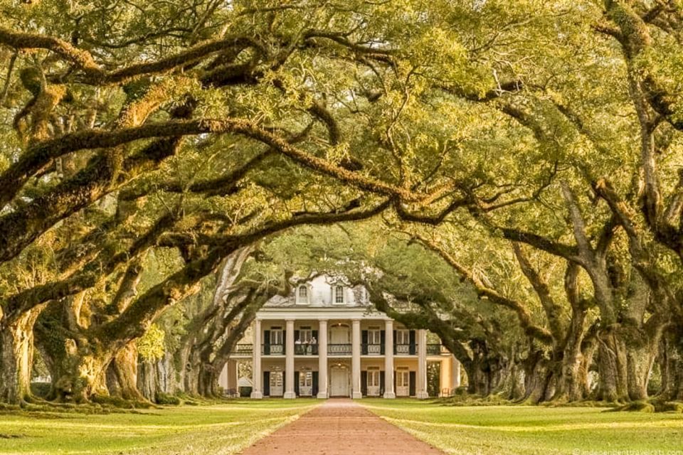 From New Orleans: Oak Alley Plantation Tour - Availability and Booking