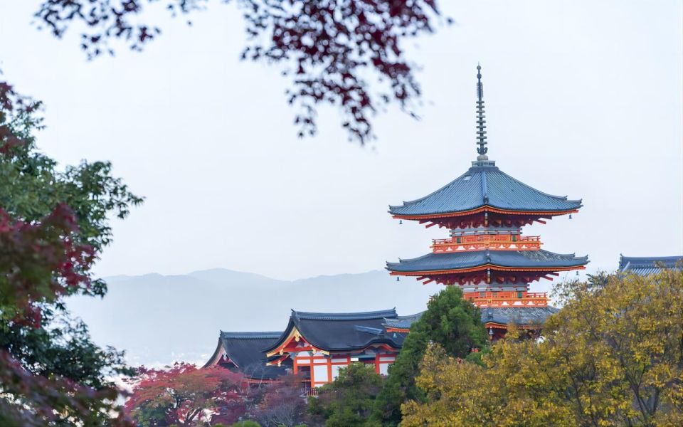 From Osaka: 10-hour Private Custom Tour to Kyoto - Cancellation Policy