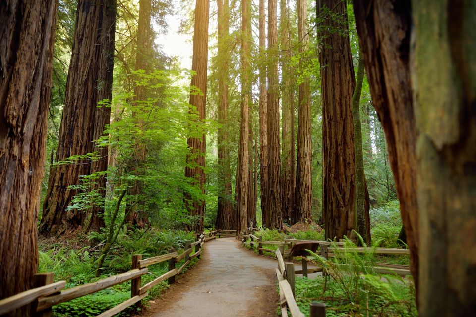 From San Francisco: Muir Woods Guided Bus Tour - Inclusions Breakdown