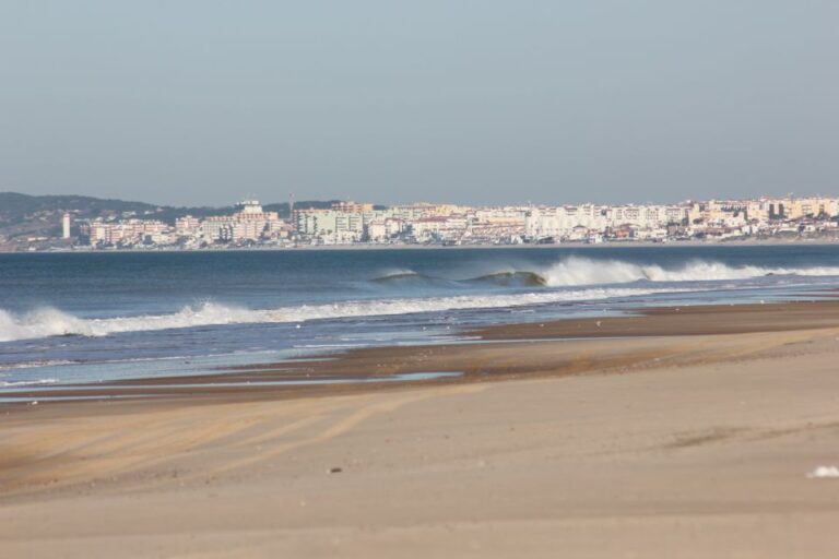 From Seville: Doñana National Park Full Day Private Tour Tour Overview