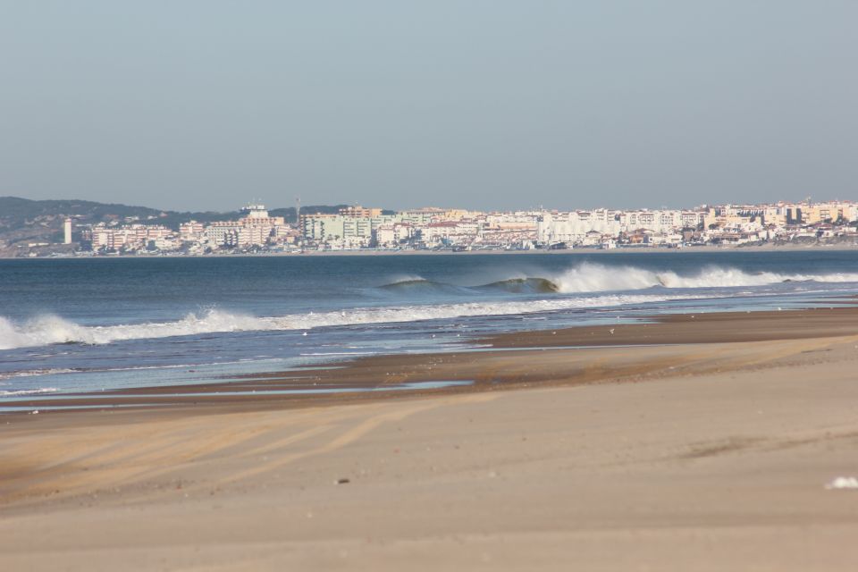 From Seville: Doñana National Park Full-Day Private Tour - Tour Overview