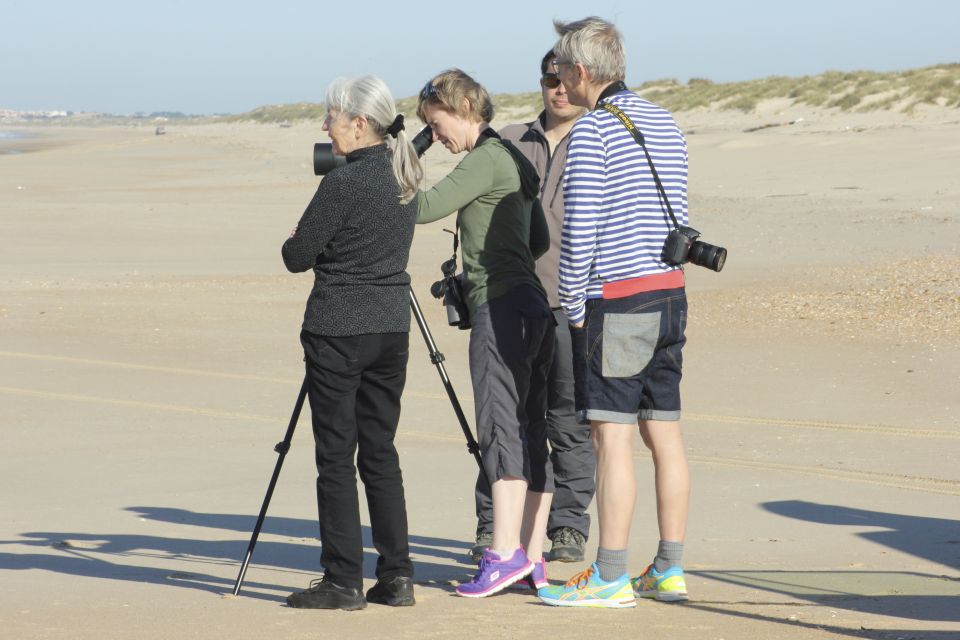 From Seville: Doñana Natural Park, El Rocío and Matalascañas - Diverse Ecosystems and Wildlife