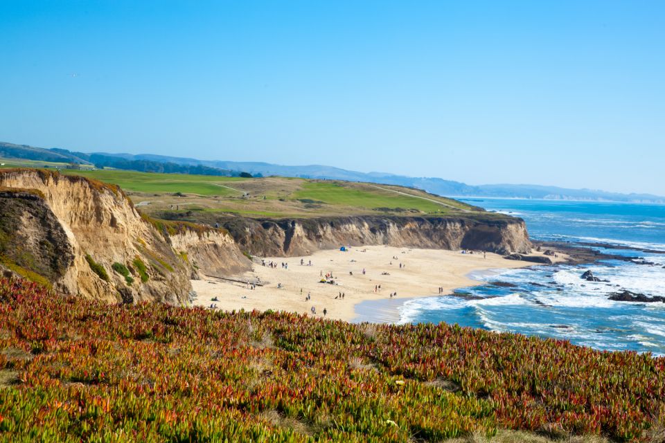 From SF: Highway 1 Coastal Exploration Driving Tour - Review Highlights