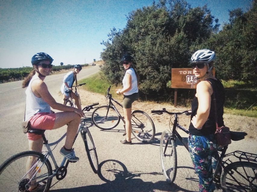 From Sitges: Cycling Tour With Winery Visit and Tasting - Cycling Route and Scenery