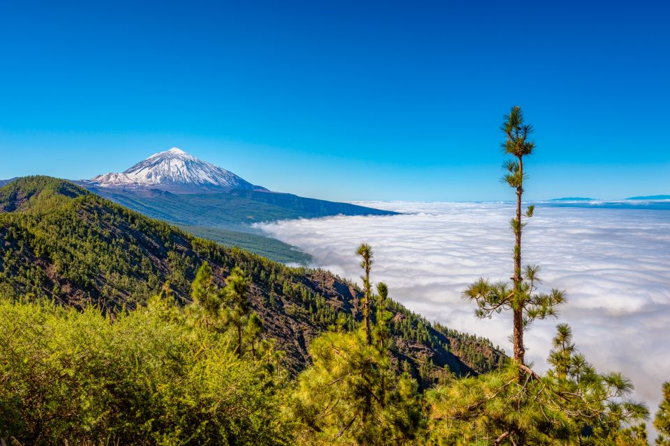 From South Tenerife: Mount Teide Hiking Day Trip & Cable Car - Duration and Cancellation